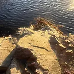 شقة Paradise With A Sea View