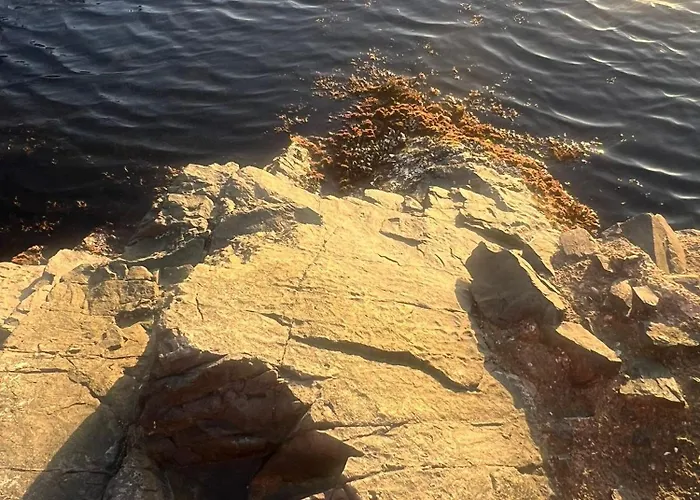 Lejlighed Paradise With A Sea View